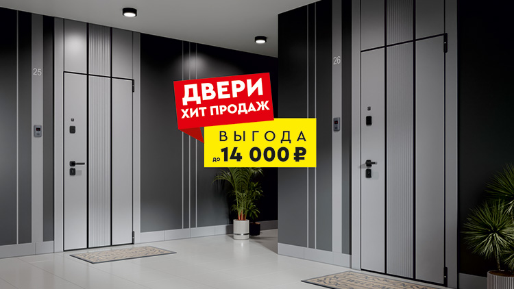 входная дверь Торэкс